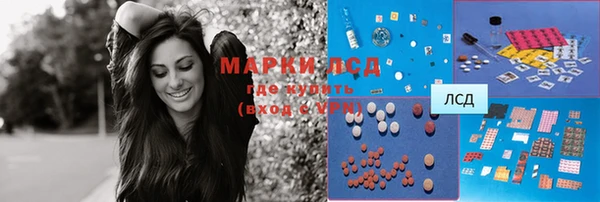 прущие крисы Горняк