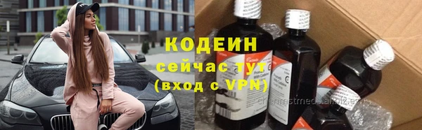 прущие крисы Горняк