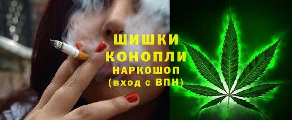 спайс Вяземский