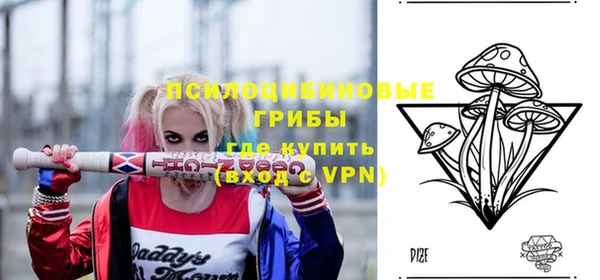 прущие крисы Горняк